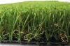 DSUU39 landscape grass