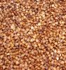 ROASTED BUCKWHEAT KERNELS