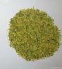 Dehydrated cabbage