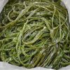 Wholesale Frozen Kelp ...