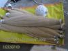 pure white horse tail ...