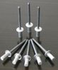 Sealed type blind rivets