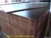 Black/ brown Film Faced Plywood, shuttering plywood, laminated plywood