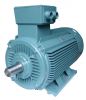 Y2 THREE-PHASE INDUCTION MOTOR