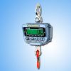 OCS-XZ-B Crane Scale