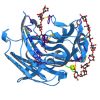 Alpha Amylase, glucoam...