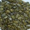 pumpkin kernels