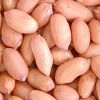 peanut kernel