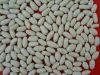 blanched peanut kernels