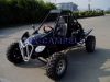 Buggy 500cc