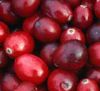 Cranberry fruit Extrac...