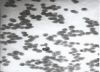 Nanometer titanium dio...