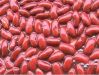 CANNED RED KIDNEY BEANS