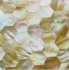 Shell Made Mosaic Tile