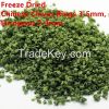 Fd Chives Chinese-Euro...