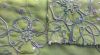 Printed Chiffon Fabric