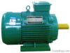 Y2 three-phase induction motor