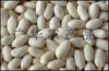 blanched peanut