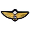 Bullion Embroidered Military Uniform Wing Badges