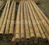 Bamboo Poles/Canes - Guadua 