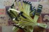 wit-color 382 printhea...