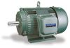 Y SERIES  INDUCTION MOTOR