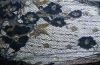 lace fabric/lace embroidery/metallic lace/lurex embroidery