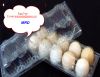 plastic egg tray
