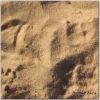 River Sand For Constru...