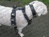 weighted dog harnesses