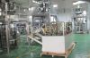 Automatic Industrial P...