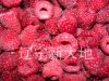 IQF Raspberry, Blueberry