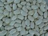kidney beans new crop