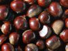 Fresh chestnuts