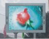 Outdoor LED Display