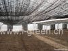 Multi Span Greenhouse