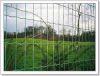 wire mesh fence