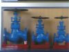 Globe Valve