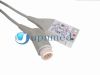 3-Lead ECG Trunk cable...