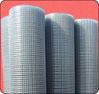 Welded Wire Mesh