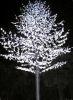 LED cherry light  LED ...