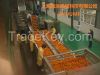 Tomato paste processing line