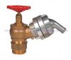 fire hydrant,fire fighting landing valve 