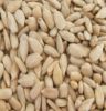 sunflower seeds kernel...