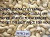 CASHEW NUT BEST PRICE VIETNAM ORIGIN