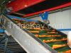 Carrots, Carottes, Car...