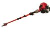 Extendable Pole Saw