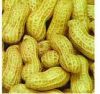 Luteolin 491-70-3