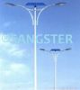 Sangster Led Street Light