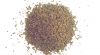 Ajwain